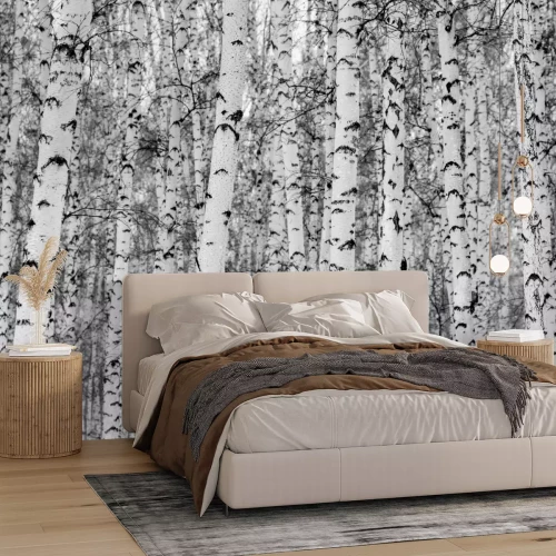 Sticker Landschap van de berk het boswinter, zwart-witte foto