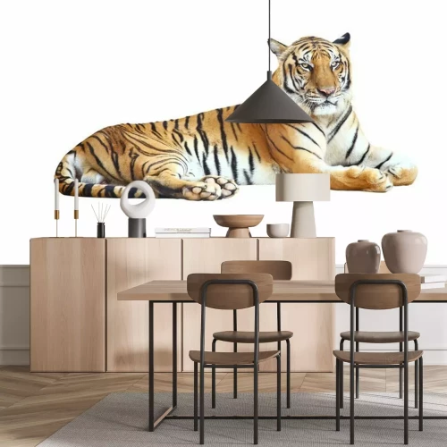 Sticker Een tijger met een dreigende uitdrukking en zwarte strepen