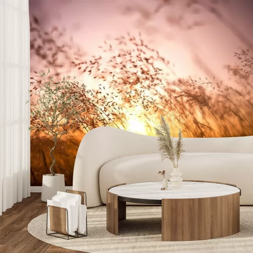 Fotobehang Fraaie natuur