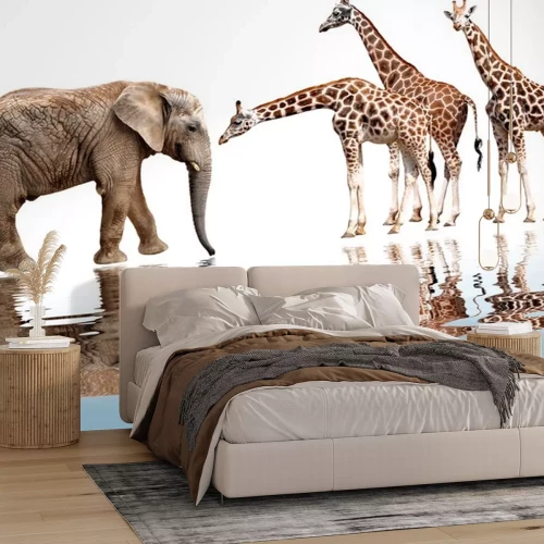 Sticker giraffen met olifant op wit wordt geïsoleerd