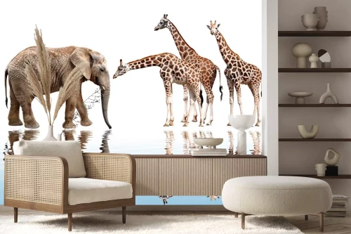 Visualisatie van het product