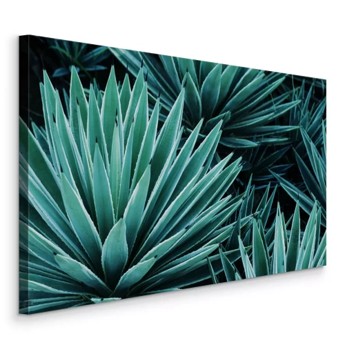 Canvas Agave groene tropische plant