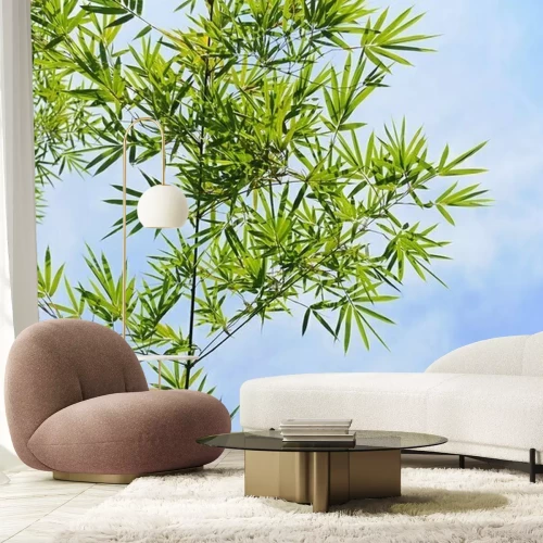 Fotobehang Bamboe schiet tegen de lucht