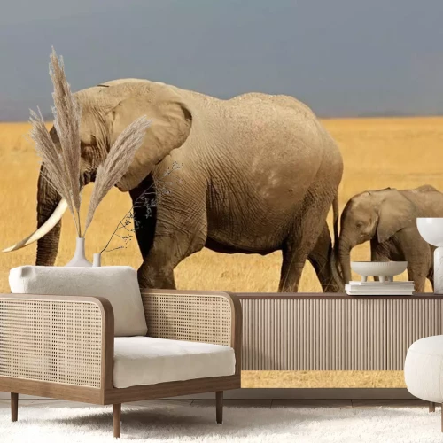 Sticker Afrikaanse olifant met kalf, Amboseli National Park