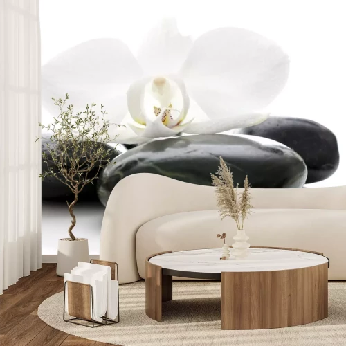 Sticker Orchidee bloem op zen stenen