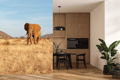 Visualisatie van het product