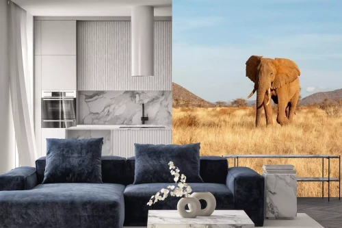 Visualisatie van het product