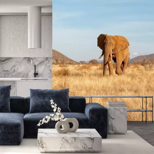 Fotobehang Afrikaanse olifant op safari