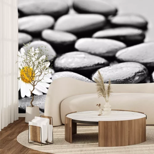 Sticker stenen en daisy