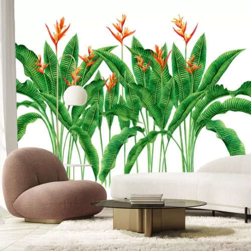 Sticker Hoge tropische strelitzia-planten op een witte achtergrond