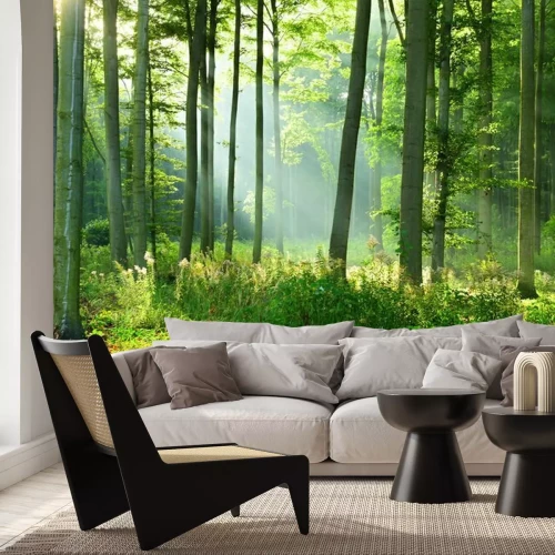 Fotobehang Zonnige ochtend in het bos