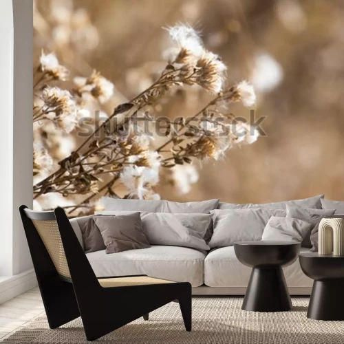 Sticker Gedroogde bloemen op een weide