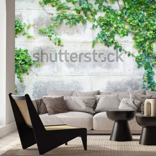 Fotobehang Muur met klimop in de tuin