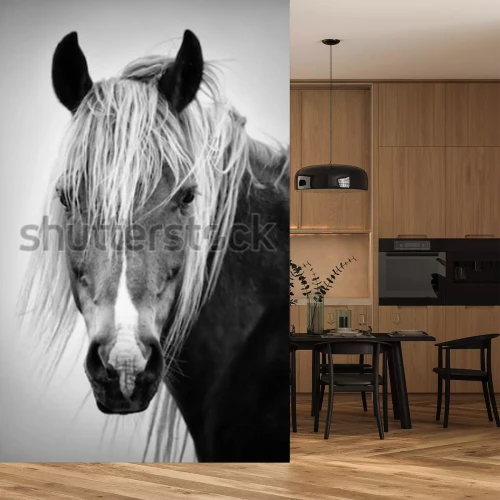 Sticker Het hoofd van een paard met een heldere manen monochrome foto