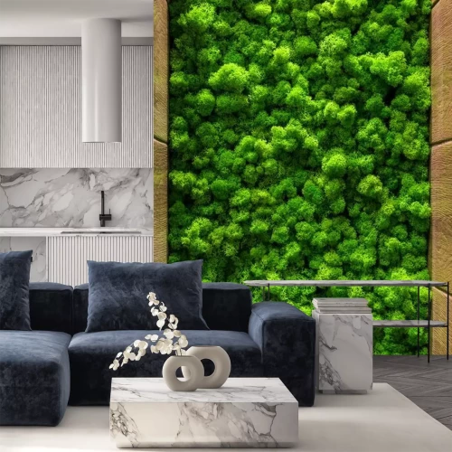 Fotobehang Decoratief groen mos