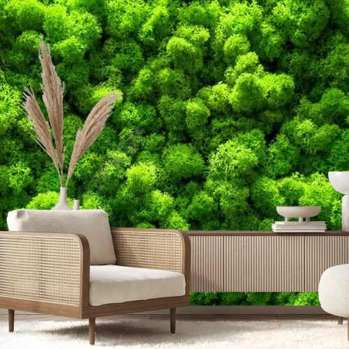 Fotobehang Groen mos van dichtbij