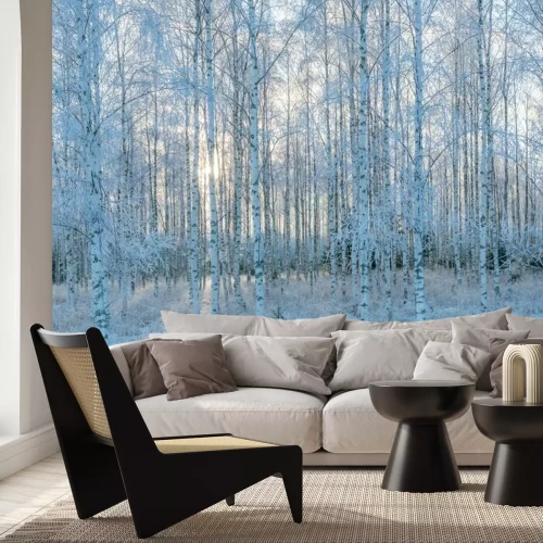 Fotobehang Berkenbos in de sneeuw