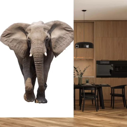 Sticker olifant geÃ ¯ soleerd