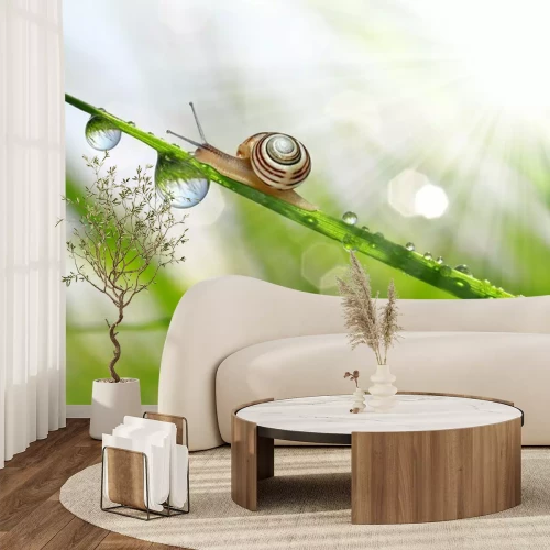 Sticker Slak op bedauwde gras