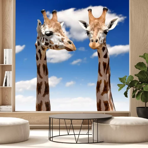 Sticker Twee Giraffen