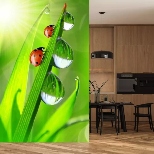 Sticker Verse ochtenddauw en lieveheersbeestje