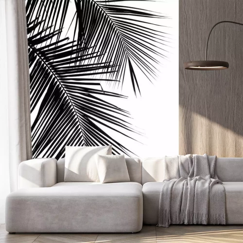 Fotobehang Zwarte palmbladeren op een witte achtergrond