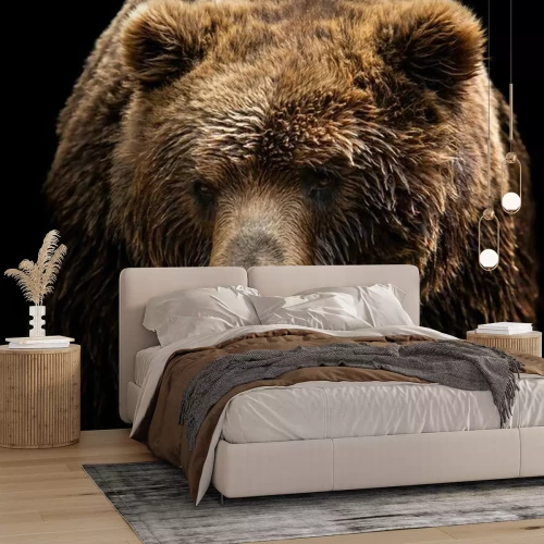 Fotobehang Portret van een bruine beer