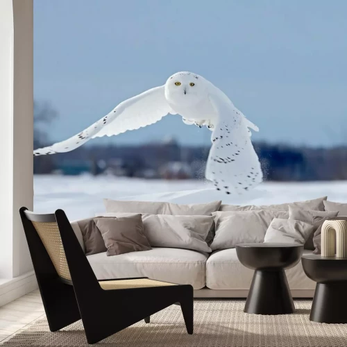 Fotobehang Winterlandschap met vliegende uil