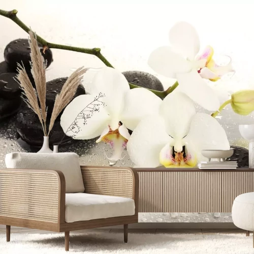Sticker Spa stenen en orchidee bloemen, geïsoleerd op wit.
