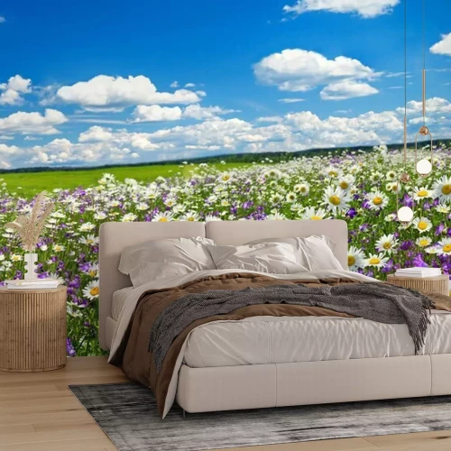 Fotobehang 3D weide in de lente