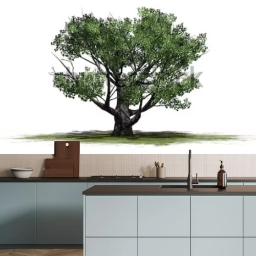 Sticker Witte eiken boom - geïsoleerd op witte achtergrond