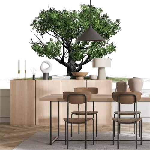 Sticker Witte eiken boom - geïsoleerd op witte achtergrond