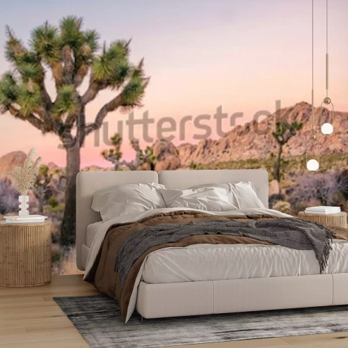 Fotobehang Joshua Tree Landscape