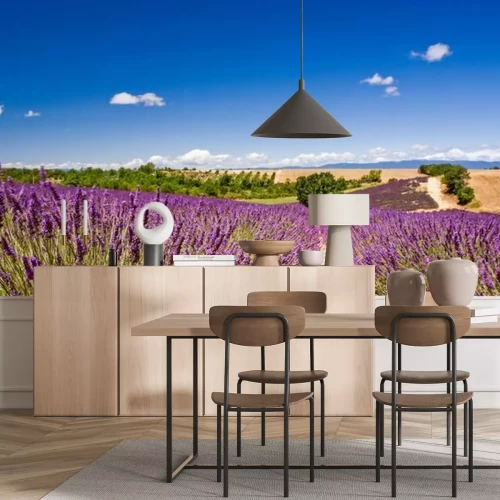 Fotobehang Landschap lavendel en lucht