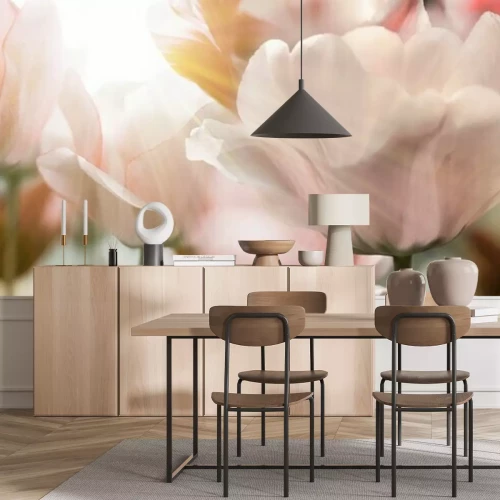 Fotobehang Tulpen in de zon