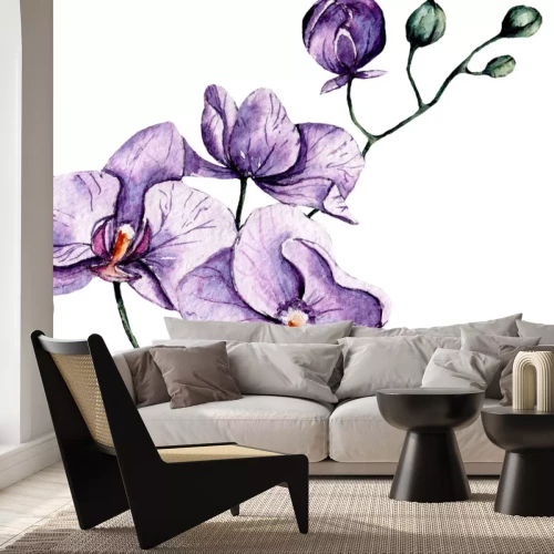Sticker Aquarel paarse orchidee op een witte achtergrond