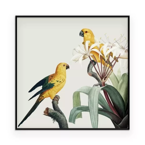 Poster Gele papegaaien in een vintage illustratie