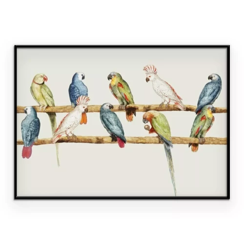 Poster Realistische papegaaien op stokjes