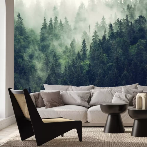 Fotobehang Donkergroene bomen in een bergbos bedekt met mist