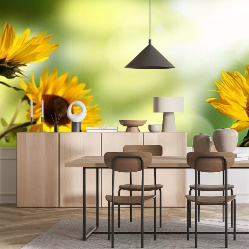 Fotobehang Zonnebloemen op een wazige achtergrond