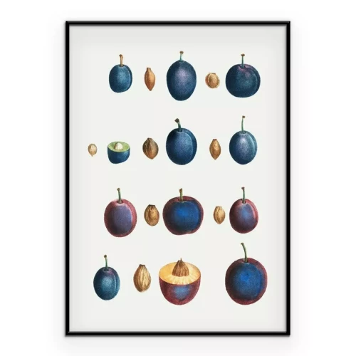 Poster Pruimen en pitten