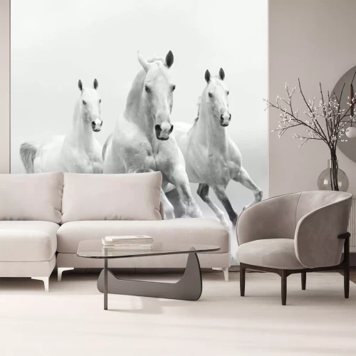 Fotobehang Drie witte paarden in galop