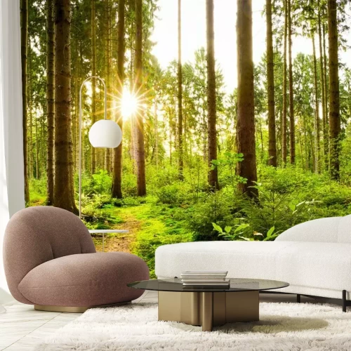 Fotobehang Het weelderige groen van het lentebos