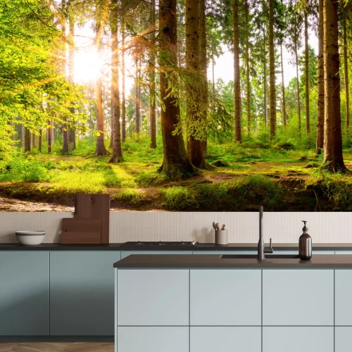 Fotobehang Zon tussen de bomen in een groen bos in het lentelandschap