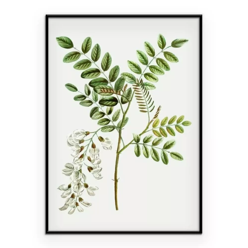 Poster Een tak met bladeren en bloemen