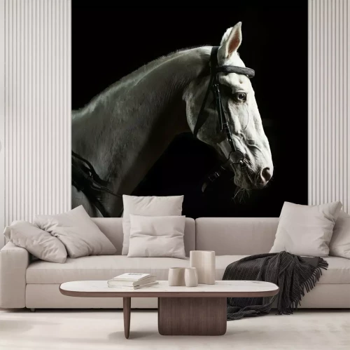 Fotobehang Paardenhoofd verlicht