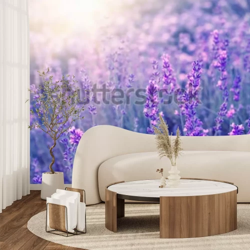 Fotobehang Close-up van een lavendelstruik