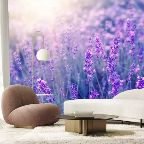 Sticker Close-up van een lavendelstruik