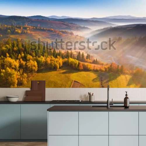 Fotobehang Veld en groene bossen