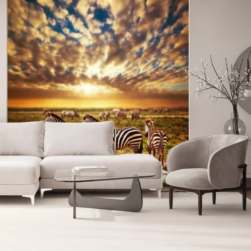 Fotobehang Zebra's in de Afrikaanse savanne bij zonsondergang